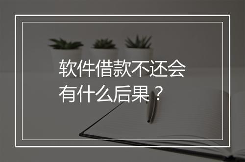 软件借款不还会有什么后果？