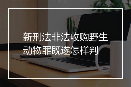 新刑法非法收购野生动物罪既遂怎样判