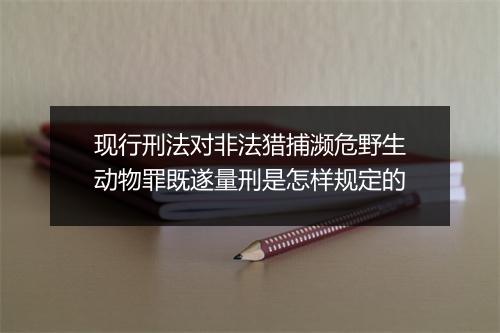 现行刑法对非法猎捕濒危野生动物罪既遂量刑是怎样规定的