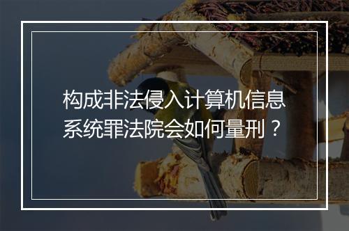 构成非法侵入计算机信息系统罪法院会如何量刑？