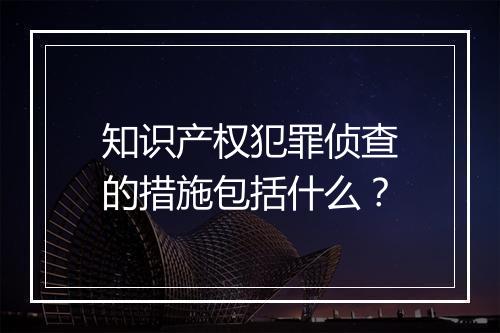 知识产权犯罪侦查的措施包括什么？