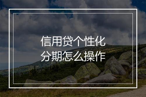 信用贷个性化分期怎么操作