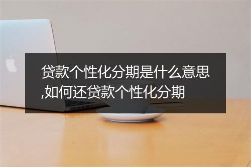 贷款个性化分期是什么意思,如何还贷款个性化分期