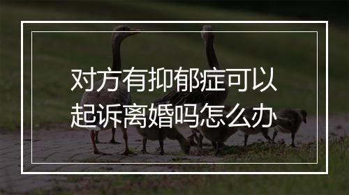 对方有抑郁症可以起诉离婚吗怎么办