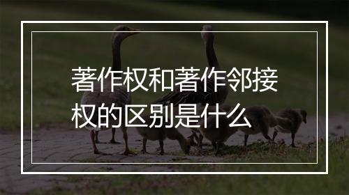 著作权和著作邻接权的区别是什么
