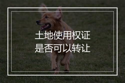 土地使用权证是否可以转让