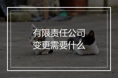 有限责任公司变更需要什么