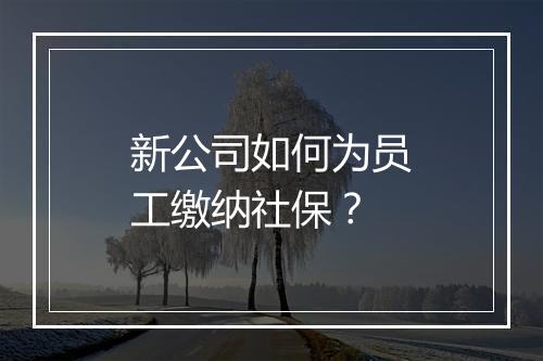 新公司如何为员工缴纳社保？