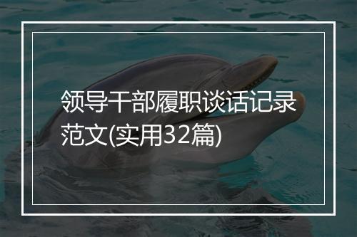 领导干部履职谈话记录范文(实用32篇)