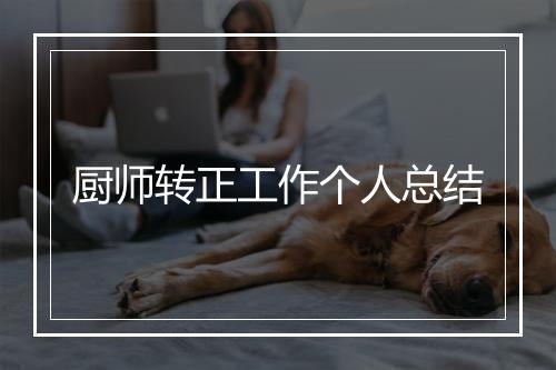 厨师转正工作个人总结
