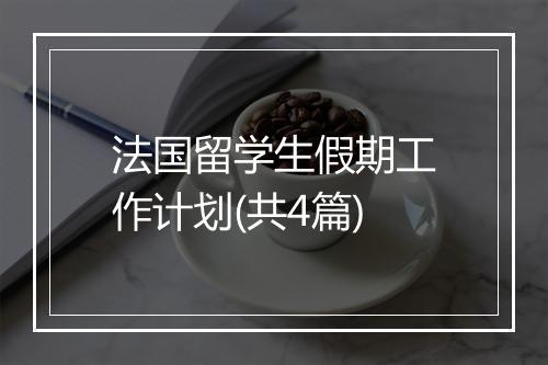 法国留学生假期工作计划(共4篇)