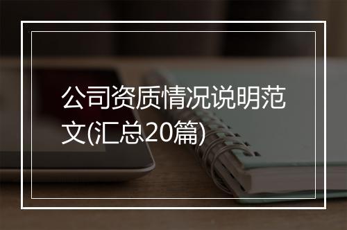 公司资质情况说明范文(汇总20篇)