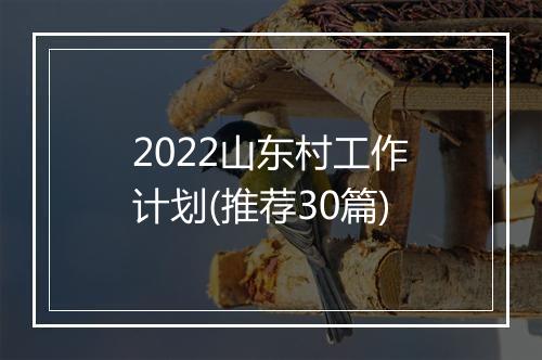 2022山东村工作计划(推荐30篇)
