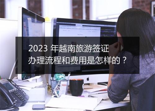 2023 年越南旅游签证办理流程和费用是怎样的？