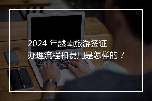 2024 年越南旅游签证办理流程和费用是怎样的？