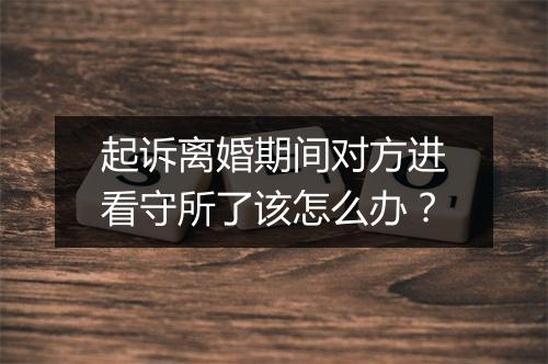 起诉离婚期间对方进看守所了该怎么办？