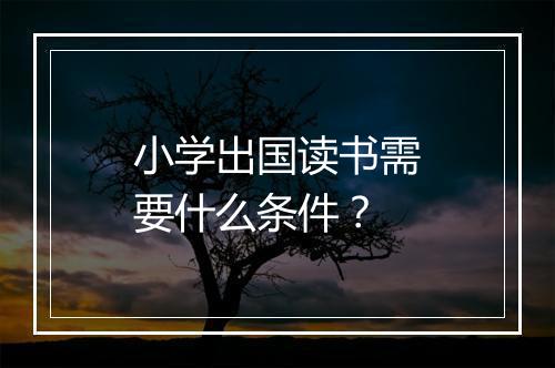小学出国读书需要什么条件？