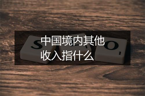 中国境内其他收入指什么