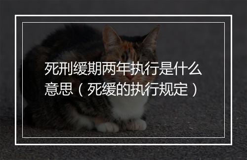 死刑缓期两年执行是什么意思（死缓的执行规定）