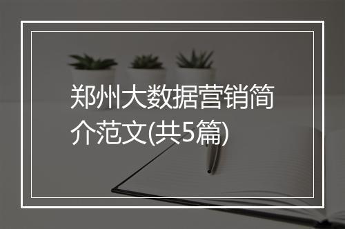 郑州大数据营销简介范文(共5篇)