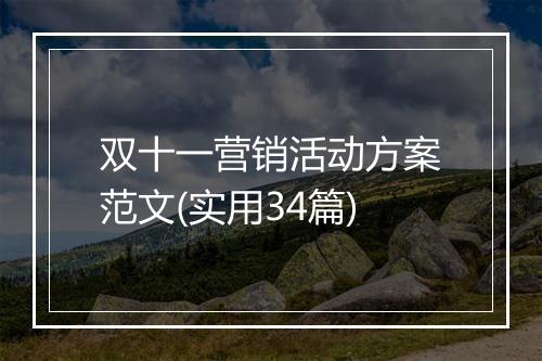 双十一营销活动方案范文(实用34篇)