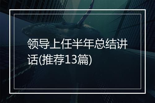 领导上任半年总结讲话(推荐13篇)