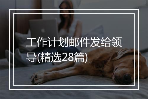 工作计划邮件发给领导(精选28篇)