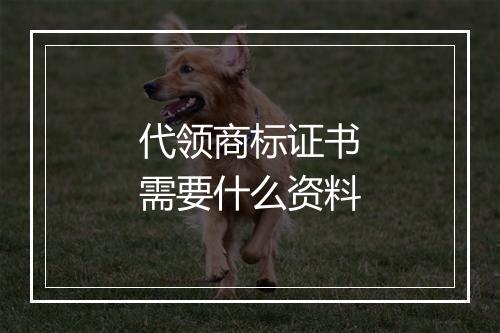 代领商标证书需要什么资料