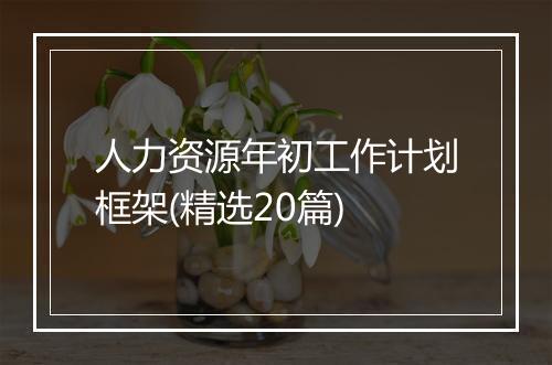 人力资源年初工作计划框架(精选20篇)