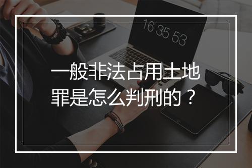 一般非法占用土地罪是怎么判刑的？