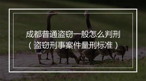 成都普通盗窃一般怎么判刑（盗窃刑事案件量刑标准）