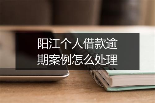 阳江个人借款逾期案例怎么处理