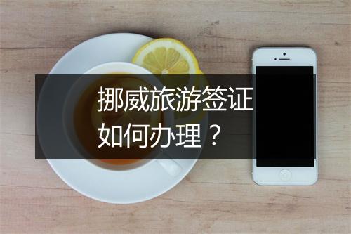 挪威旅游签证如何办理？