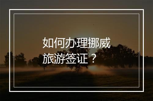 如何办理挪威旅游签证？