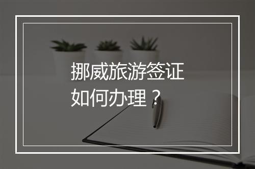 挪威旅游签证如何办理？