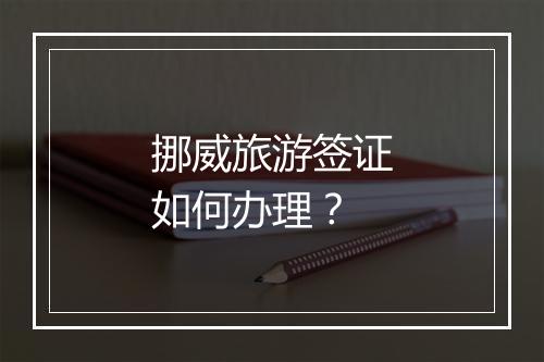 挪威旅游签证如何办理？