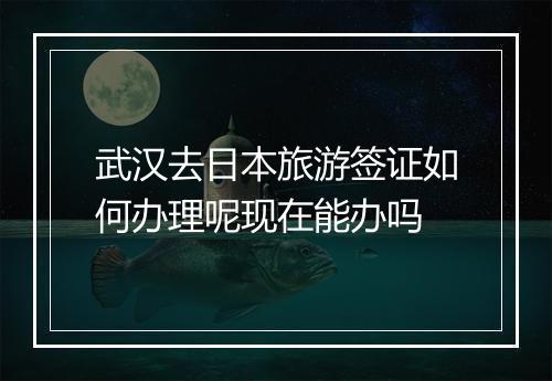 武汉去日本旅游签证如何办理呢现在能办吗