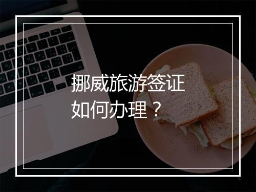 挪威旅游签证如何办理？