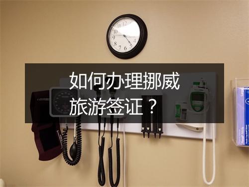 如何办理挪威旅游签证？