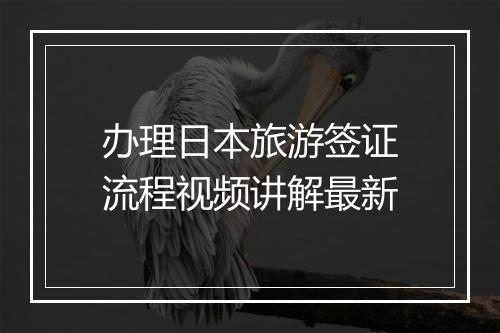 办理日本旅游签证流程视频讲解最新