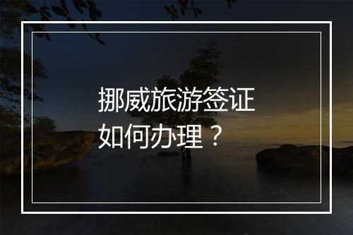 挪威旅游签证如何办理？
