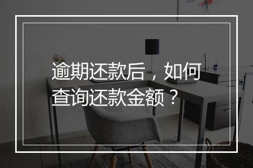 逾期还款后，如何查询还款金额？