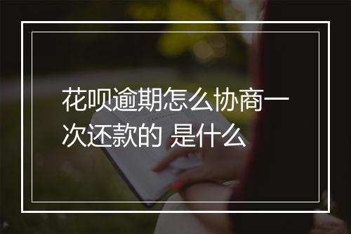 花呗逾期怎么协商一次还款的 是什么