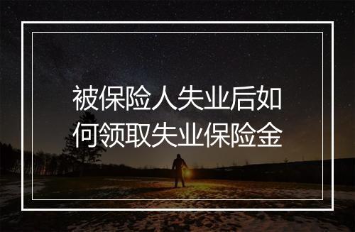 被保险人失业后如何领取失业保险金