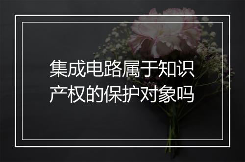集成电路属于知识产权的保护对象吗