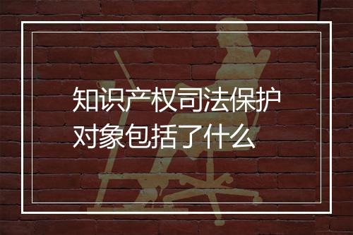 知识产权司法保护对象包括了什么