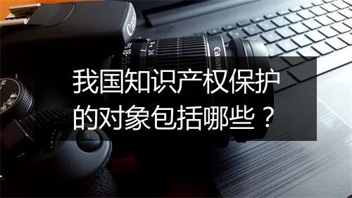 我国知识产权保护的对象包括哪些？