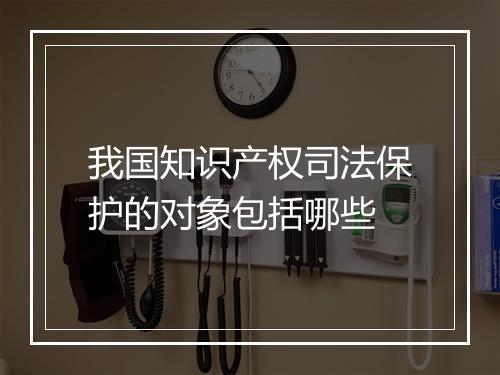 我国知识产权司法保护的对象包括哪些