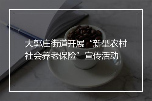 大郭庄街道开展“新型农村社会养老保险”宣传活动