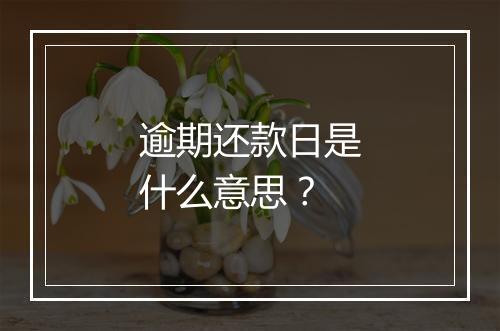 逾期还款日是什么意思？